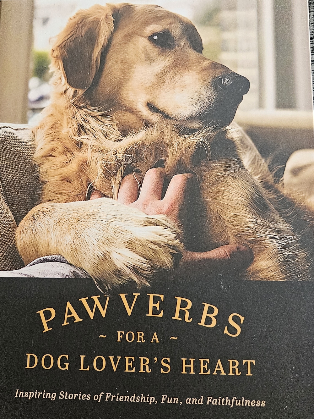 Pawverbs for a Dog Lover's Heart – Golden Cover Hardback Book Animal Lovers